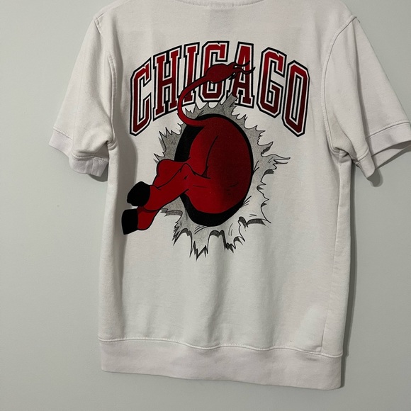 Vintage NBA Chicago Bulls short sleeve sweatshirt size small - Picture 2 of 11